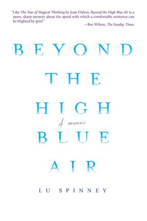 Cover of the book Beyond the High Blue Air by Deborah Shapiro