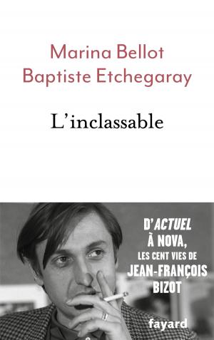 Cover of the book L'inclassable by Christophe Jaffrelot