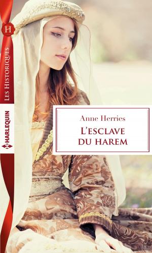 Cover of the book L'esclave du harem by Mary Kruger