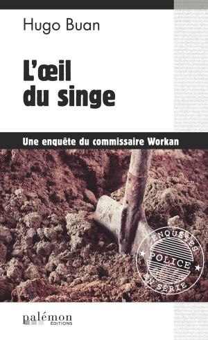 Cover of the book L'œil du singe by Don Shogren