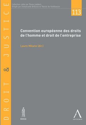 Cover of the book Convention européenne des droits de l'homme et droit de l'entreprise by Etienne Montero Redondo