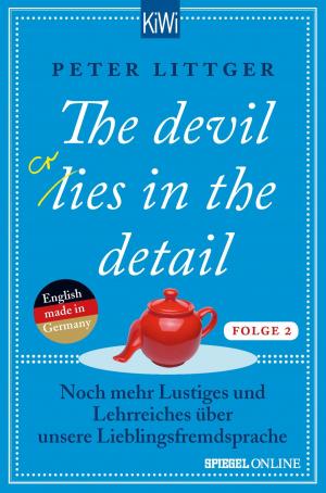 Cover of the book The devil lies in the detail - Folge 2 by Helge Schneider