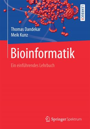 Cover of the book Bioinformatik by Rainer Meckenstock, Jan Frösler