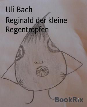 Book cover of Reginald der kleine Regentropfen