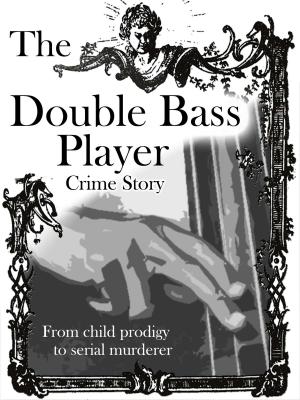 Cover of the book The Double Bass Player by Andy Hallam