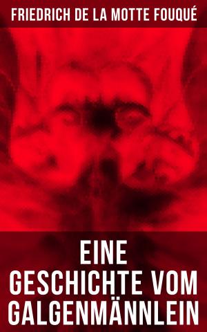 Cover of the book Eine Geschichte vom Galgenmännlein by J. Allan Dunn