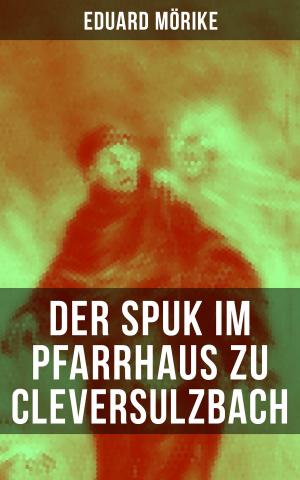 Cover of the book Der Spuk im Pfarrhaus zu Cleversulzbach by Napoleon Augustus Jennings