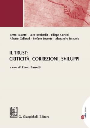 Cover of the book Il Trust: criticità, correzioni, sviluppi by Giampaolo Di Marco, CARLO MASTELLONE