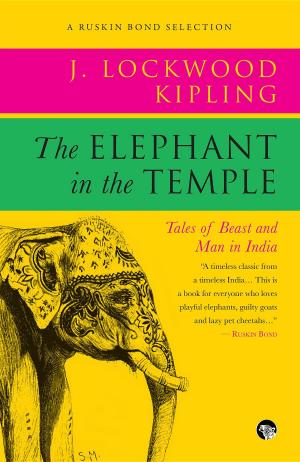 Cover of the book The Elephant in the Temple by Louis Schmier