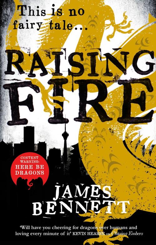 Cover of the book Raising Fire by James Bennett, Orbit