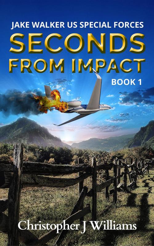 Cover of the book Seconds from Impact by Christopher J Williams, Christopher J Williams