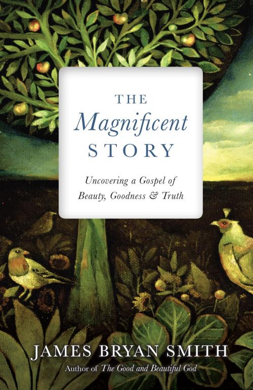 Cover of the book The Magnificent Story by James Bryan Smith, IVP Books