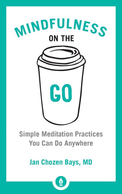 Cover of the book Mindfulness on the Go by Jan Chozen Bays, Shambhala
