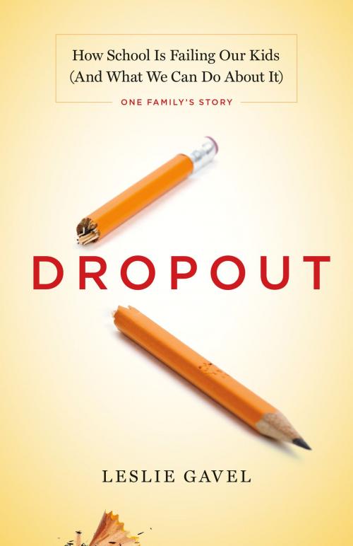 Cover of the book Dropout by Leslie Gavel, Motherwell