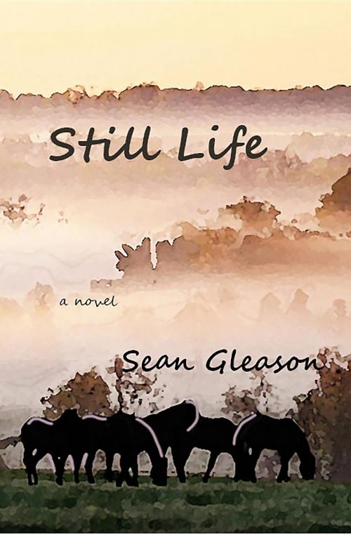 Cover of the book Still Life by Sean Gleason, Newcastlewest Books