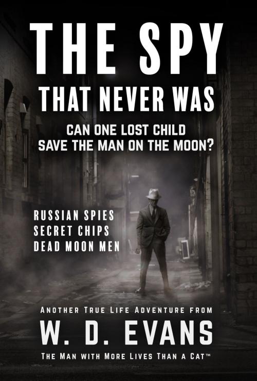 Cover of the book The Spy That Never Was by W. D. Evans, wayne Evans