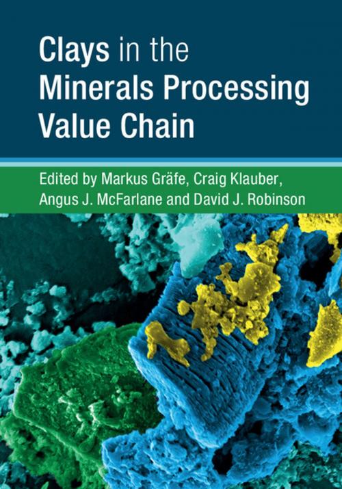 Cover of the book Clays in the Minerals Processing Value Chain by , Cambridge University Press