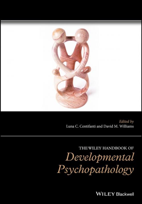 Cover of the book The Wiley Handbook of Developmental Psychopathology by , Wiley