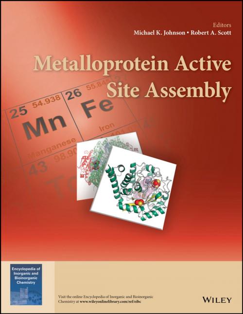 Cover of the book Metalloprotein Active Site Assembly by , Wiley