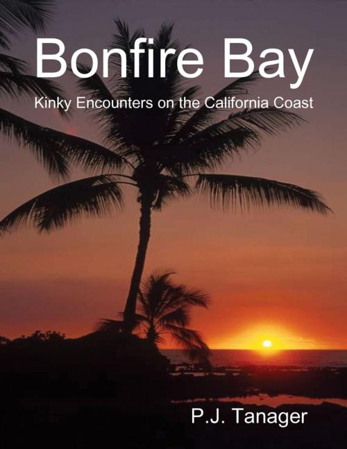 Cover of the book Bonfire Bay: Kinky Encounters on the California Coast by P.J. Tanager, Lulu.com