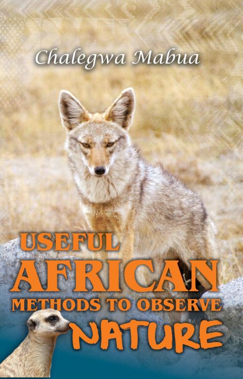 Cover of the book Useful African Methods To Observe Nature by Chalegwa Mabua, Chalegwa Mabua