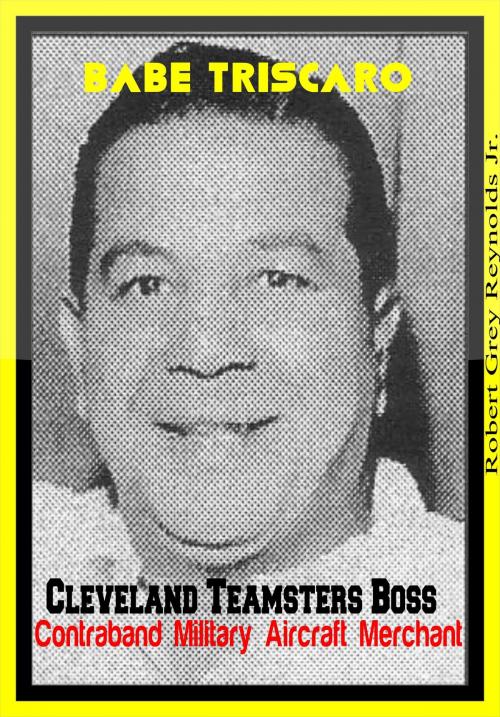 Cover of the book Babe Triscaro Cleveland Teamsters Boss Contraband Military Aircraft Merchant by Robert Grey Reynolds Jr, Robert Grey Reynolds, Jr