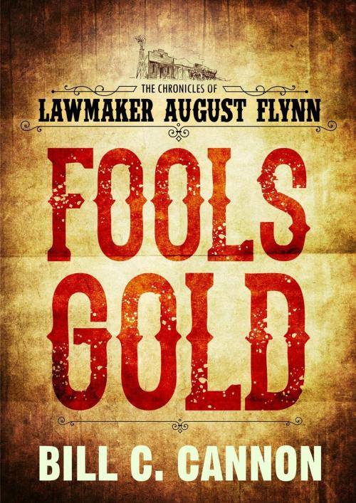 Cover of the book Fools Gold by Bill C Cannon, Raging Bull Publishing