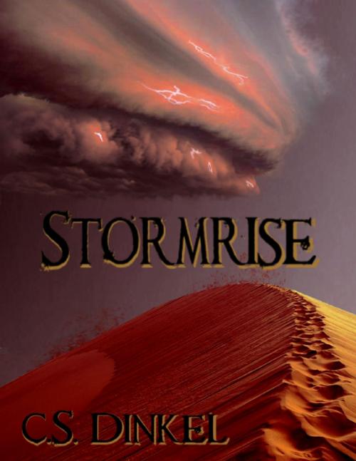 Cover of the book Stormrise by C.S. Dinkel, Lulu.com