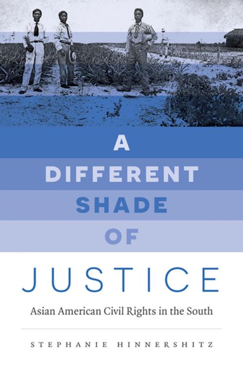 Cover of the book A Different Shade of Justice by Stephanie Hinnershitz, The University of North Carolina Press