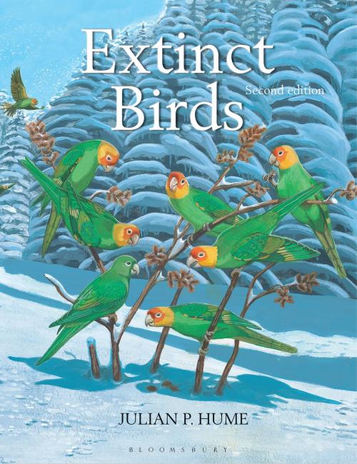 Cover of the book Extinct Birds by Julian P. Hume, Bloomsbury Publishing
