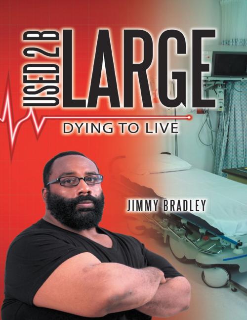 Cover of the book Used 2 B Large: Dying to Live by Jimmy Bradley, Lulu Publishing Services