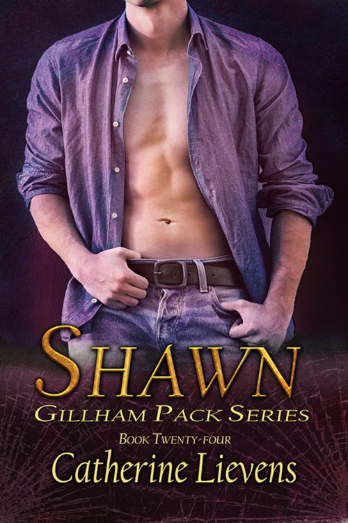 Cover of the book Shawn by Catherine Lievens, eXtasy Books Inc