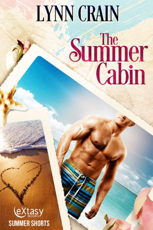 Cover of the book The Summer Cabin by Lynn Crain, eXtasy Books Inc