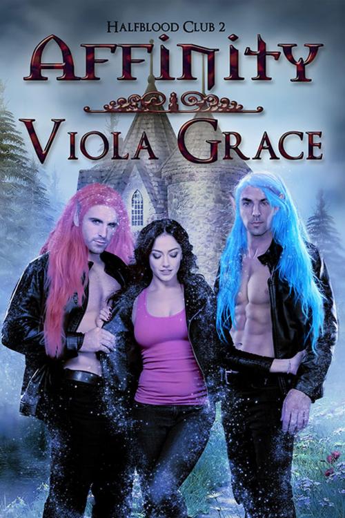 Cover of the book Affinity by Viola Grace, eXtasy Books Inc