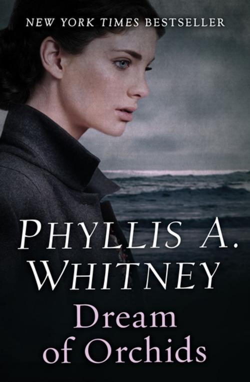 Cover of the book Dream of Orchids by Phyllis A. Whitney, Open Road Media