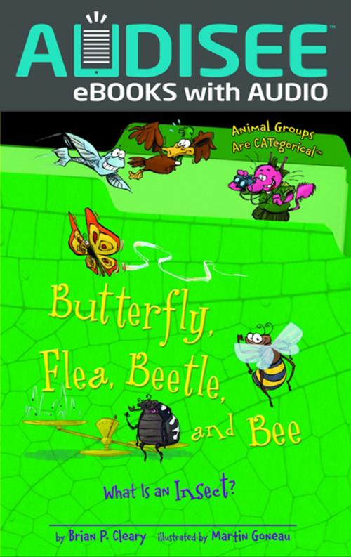 Cover of the book Butterfly, Flea, Beetle, and Bee by Brian P. Cleary, Lerner Publishing Group