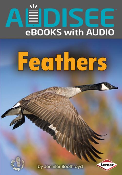 Cover of the book Feathers by Jennifer Boothroyd, Lerner Publishing Group