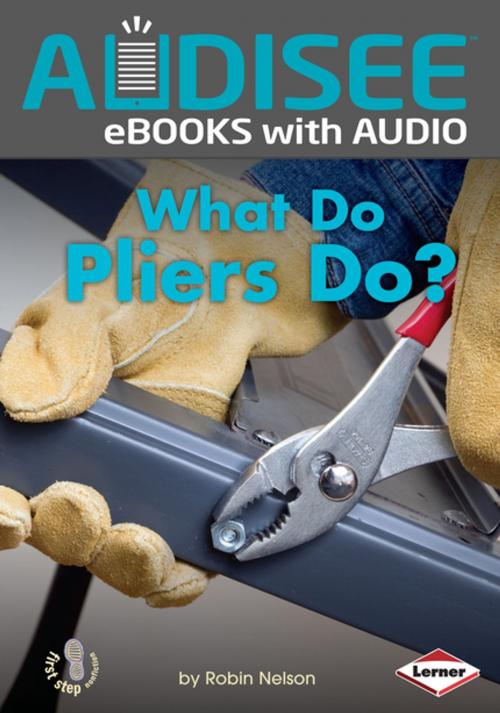 Cover of the book What Do Pliers Do? by Robin Nelson, Lerner Publishing Group