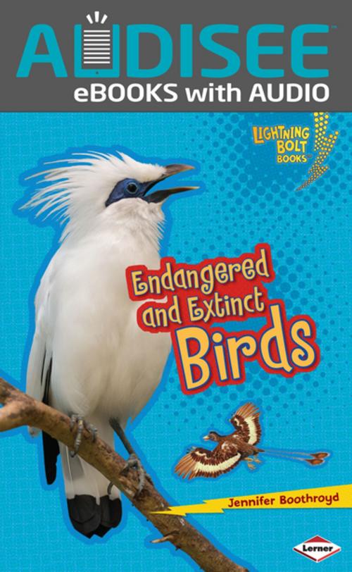 Cover of the book Endangered and Extinct Birds by Jennifer Boothroyd, Lerner Publishing Group