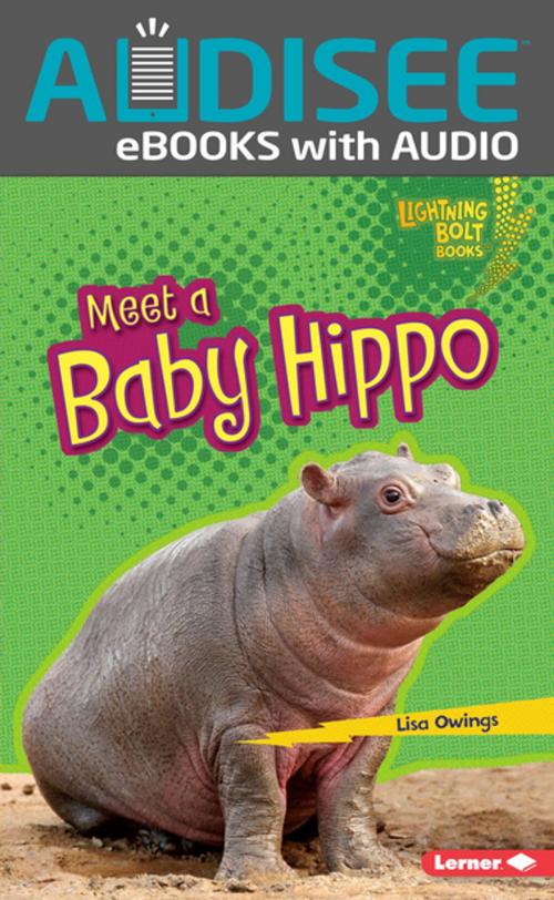 Cover of the book Meet a Baby Hippo by Lisa Owings, Lerner Publishing Group