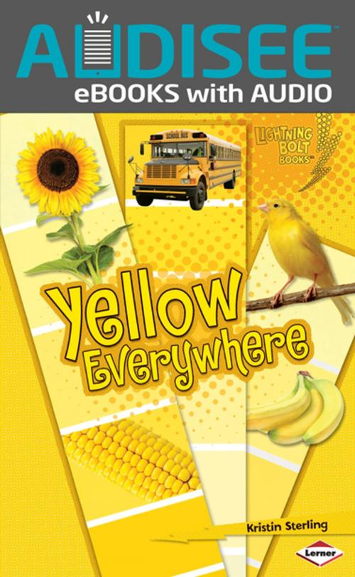 Cover of the book Yellow Everywhere by Kristin Sterling, Lerner Publishing Group