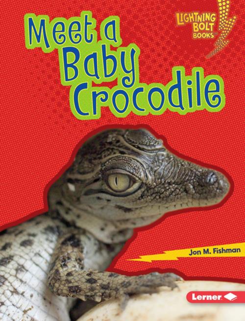 Cover of the book Meet a Baby Crocodile by Jon M. Fishman, Lerner Publishing Group