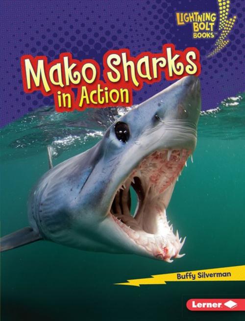 Cover of the book Mako Sharks in Action by Buffy Silverman, Lerner Publishing Group