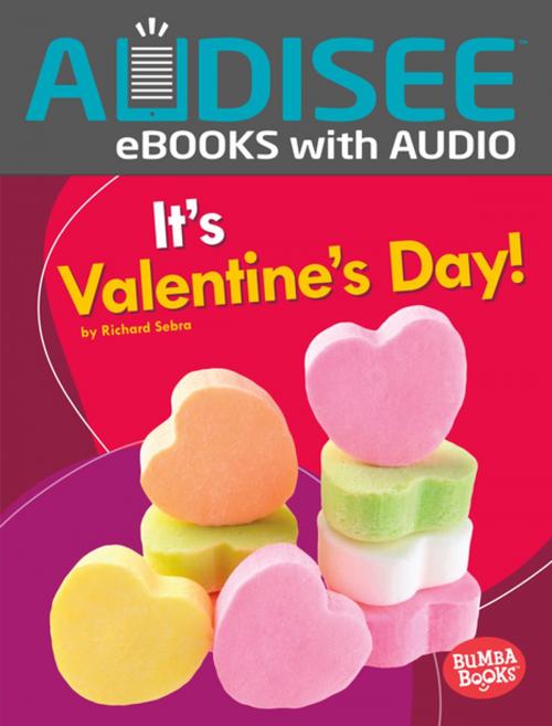 Cover of the book It's Valentine's Day! by Richard Sebra, Lerner Publishing Group