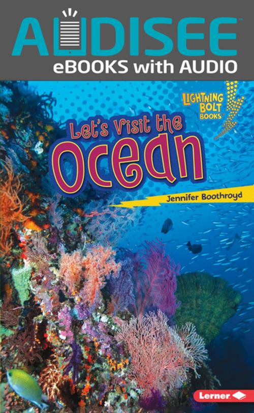 Cover of the book Let's Visit the Ocean by Jennifer Boothroyd, Lerner Publishing Group