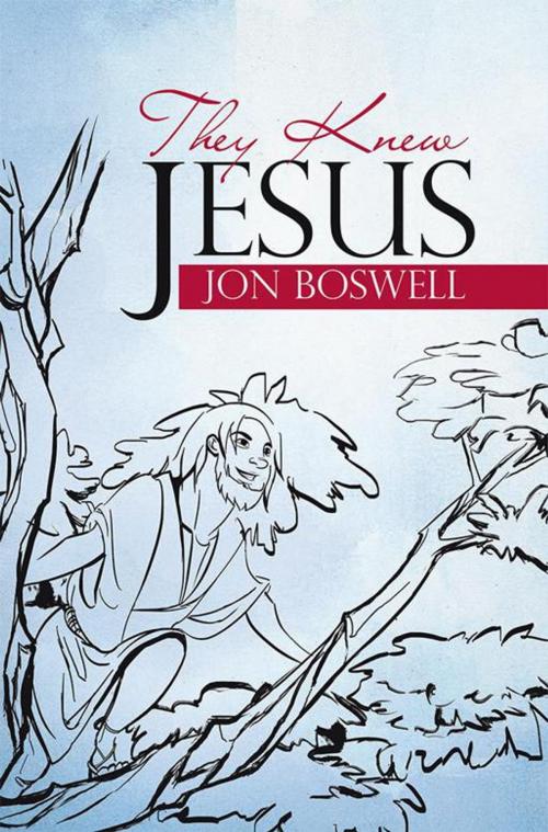 Cover of the book They Knew Jesus by Jon Boswell, WestBow Press