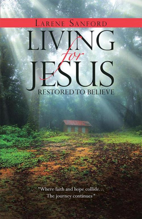 Cover of the book Living for Jesus by Larene Sanford, WestBow Press