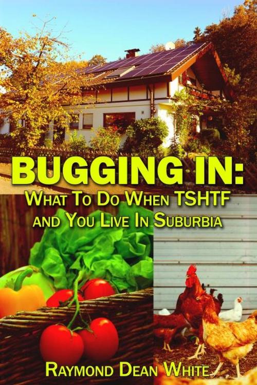 Cover of the book Bugging In: What To Do When TSHTF and You Live In Suburbia by Raymond Dean White, Raymond Dean White