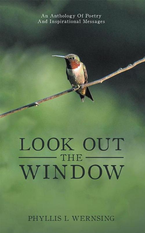 Cover of the book Look out the Window by Phyllis L Wernsing, iUniverse