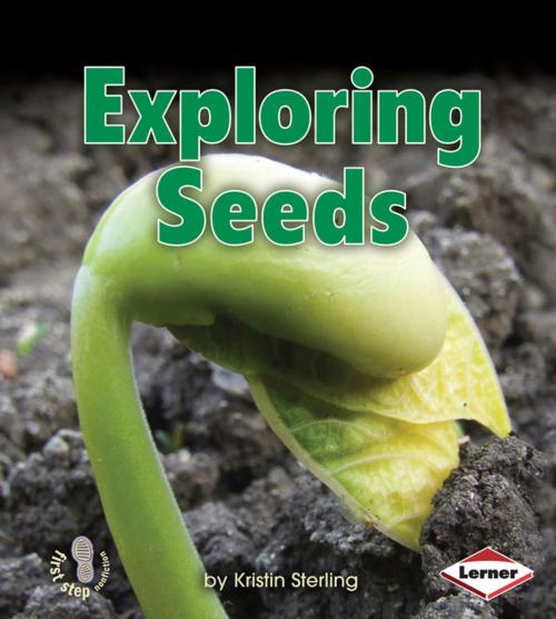 Cover of the book Exploring Seeds by Kristin Sterling, Lerner Publishing Group